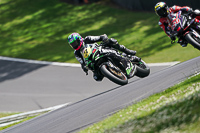 brands-hatch-photographs;brands-no-limits-trackday;cadwell-trackday-photographs;enduro-digital-images;event-digital-images;eventdigitalimages;no-limits-trackdays;peter-wileman-photography;racing-digital-images;trackday-digital-images;trackday-photos